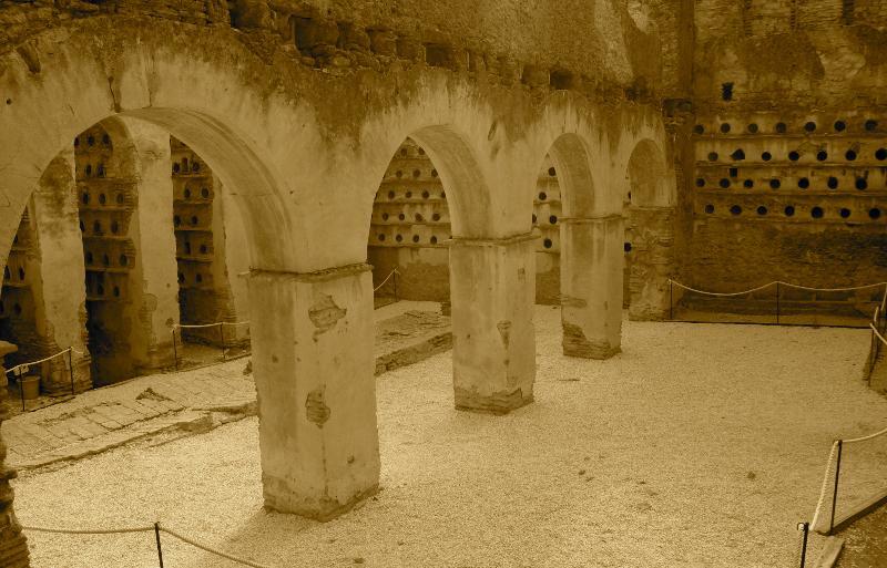 Hotel El Palomar De La Brena Barbate Exteriér fotografie